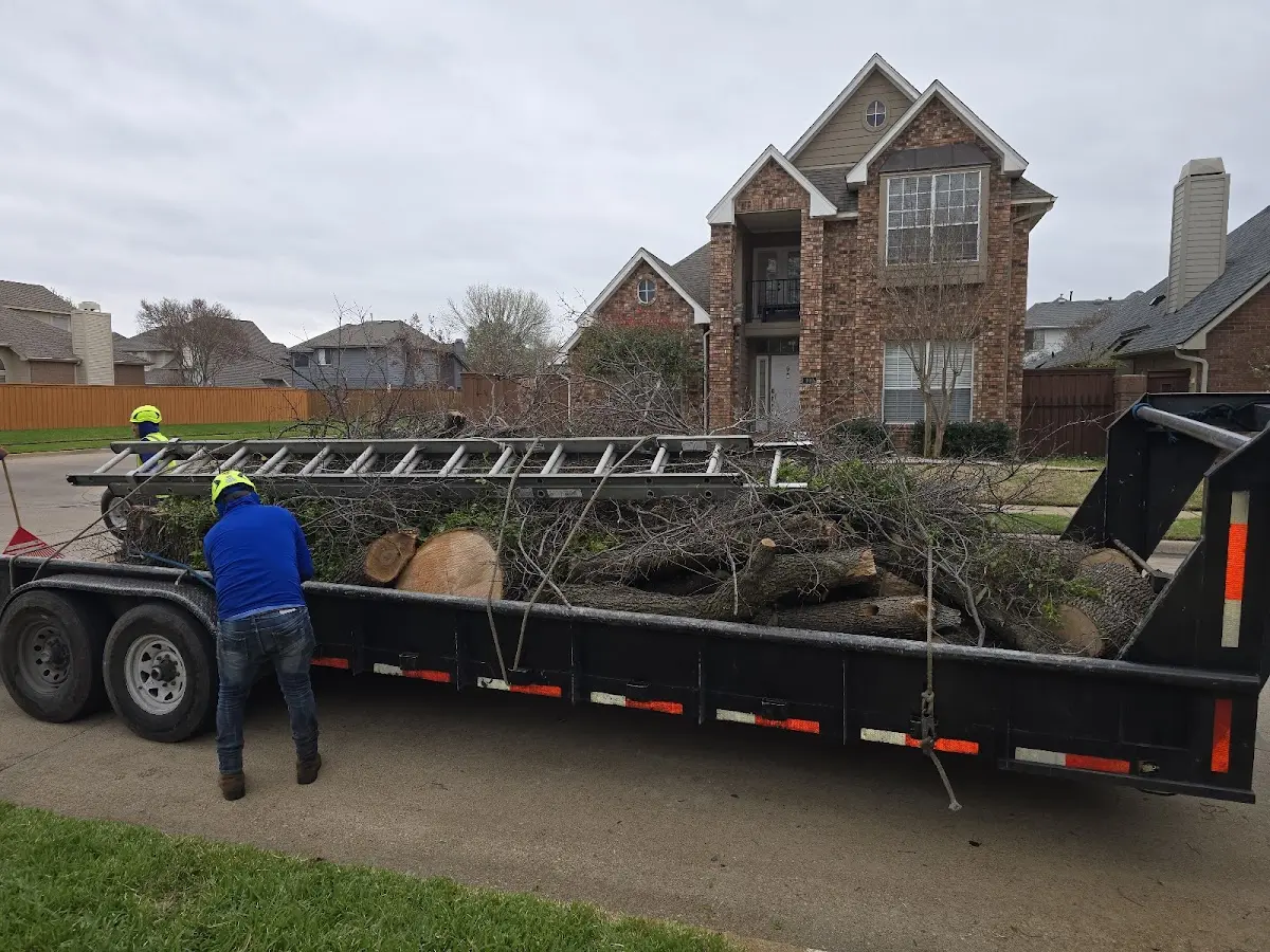 Expert Tree Fertilization with proper safety equipment in Gallitzin